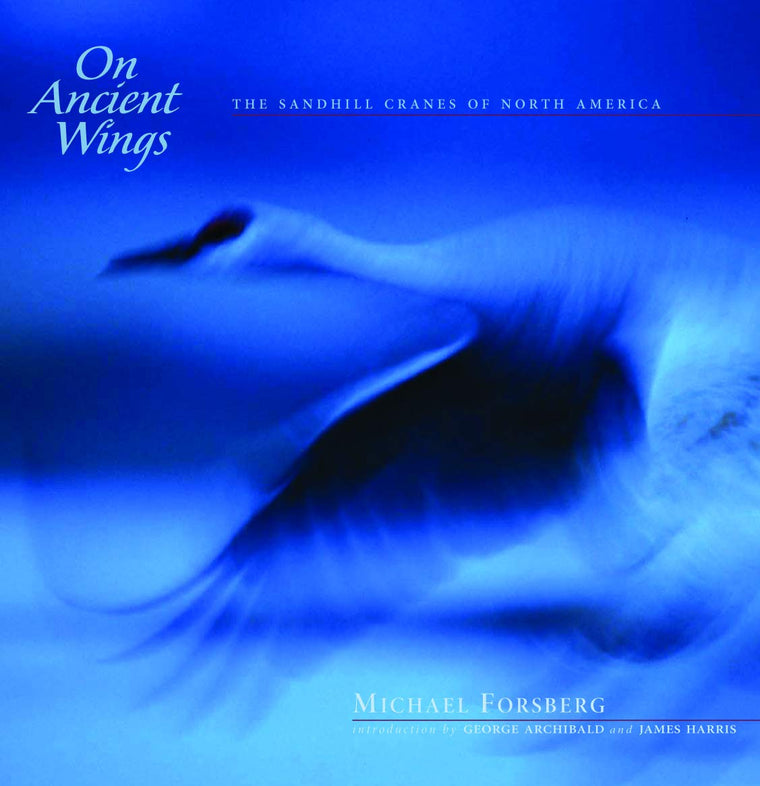 On Ancient Wings: The Sandhill Cranes of North America (Natural History)