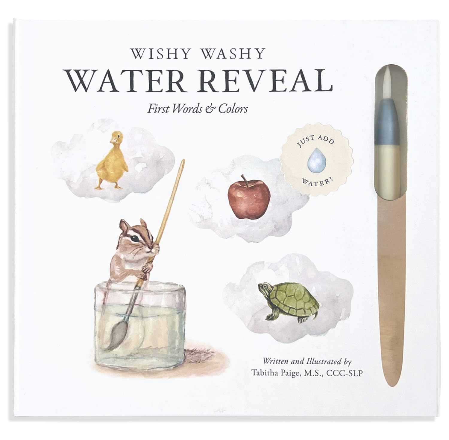 Wishy Washy (Water Reveal Edition): A Reusable Water Reveal Activity Book Teaching First Words and Colors (Tabitha Paige Children's Book Series)