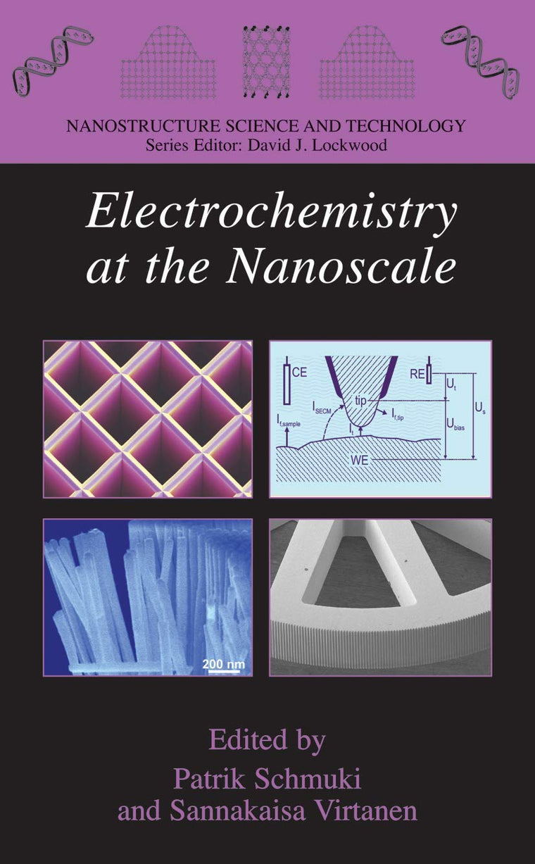 Electrochemistry at the Nanoscale (Nanostructure Science and Technology)