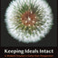 Keeping Ideals Intact: A Waldorf Teacher's Forty-Year Perspective
