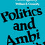 Politics and Ambiguity (Rhetoric of the Human Sciences)