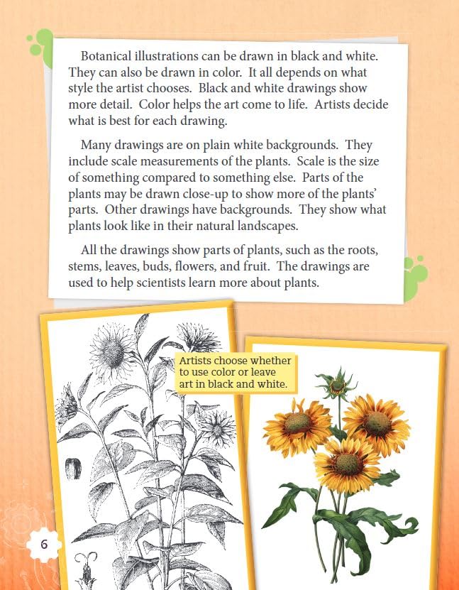 Botanical Illustration (Smithsonian: Informational Text)