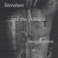 Literature and the Political Imagination (Routledge Studies in Development)