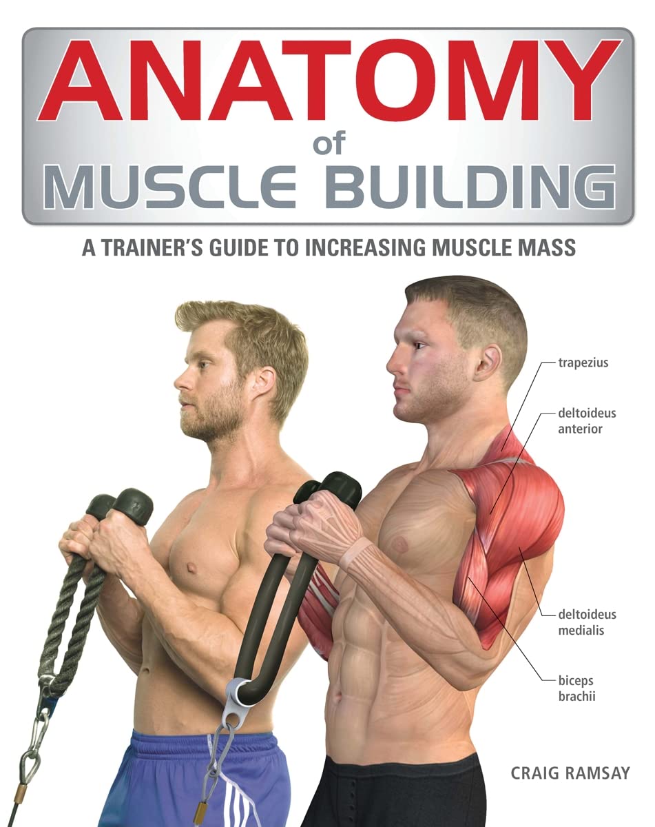 Anatomy of Muscle Building: A Trainer's Guide to Increasing