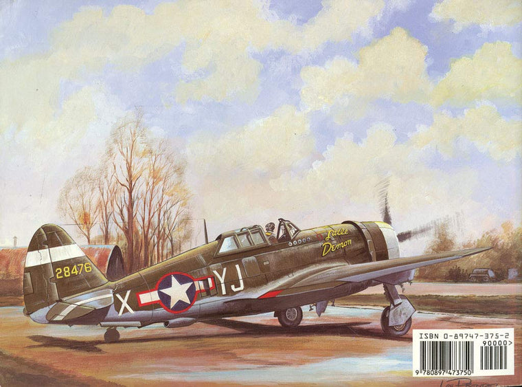 P-47 Thunderbolt - Walk Around No. 11 by Drendel, Lou