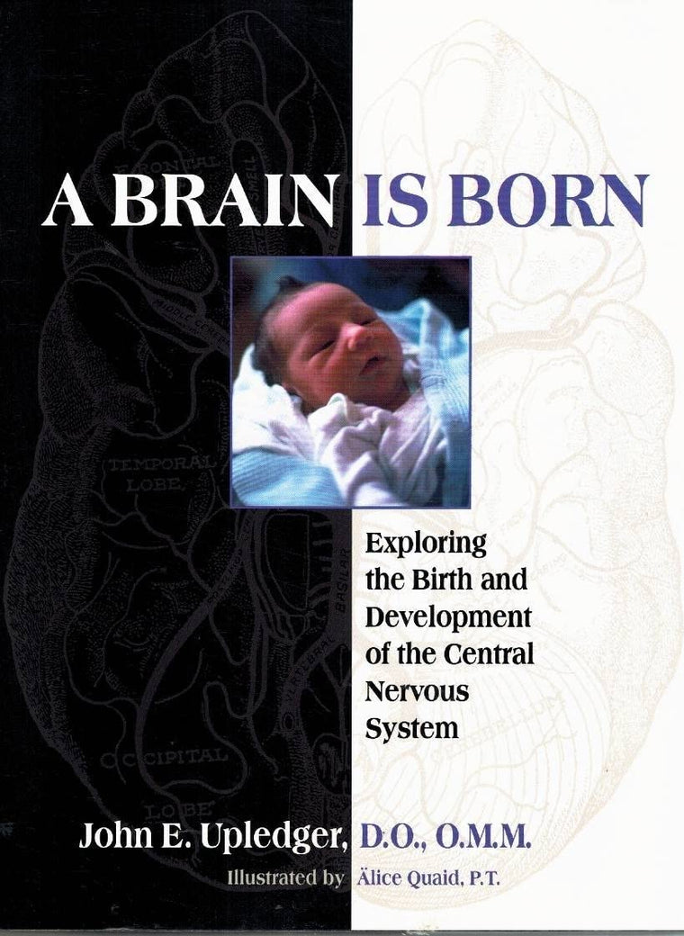 A Brain Is Born: Exploring the Birth and Development of the Central Nervous System