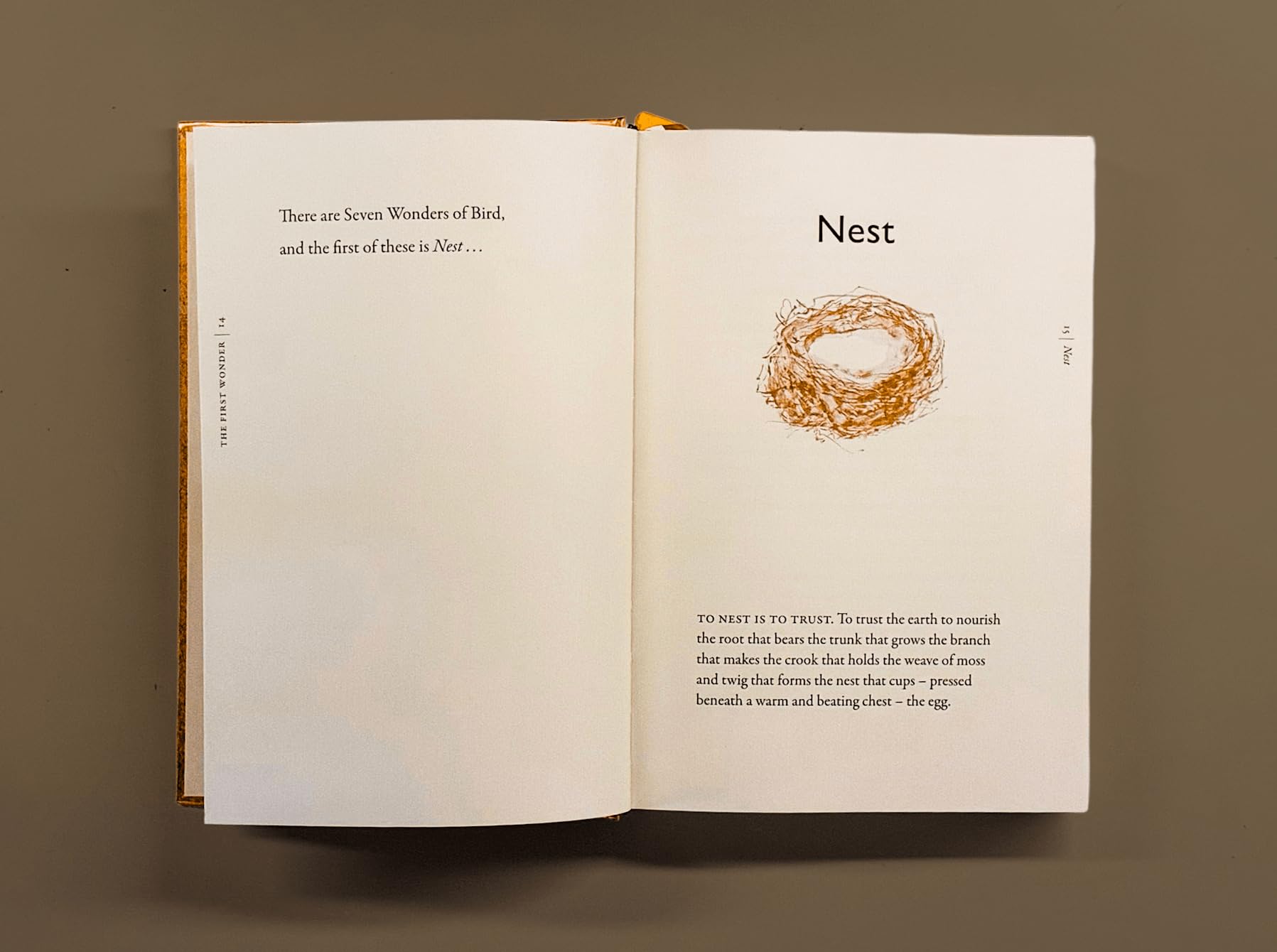 The Book of Birds: A Field Guide to Wonder and Loss