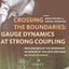 Crossing The Boundaries: Gauge Dynamics At Strong Coupling - Proceedings Of The Workshop In Honor Of The 60Th Birthday Of Misha Shifman