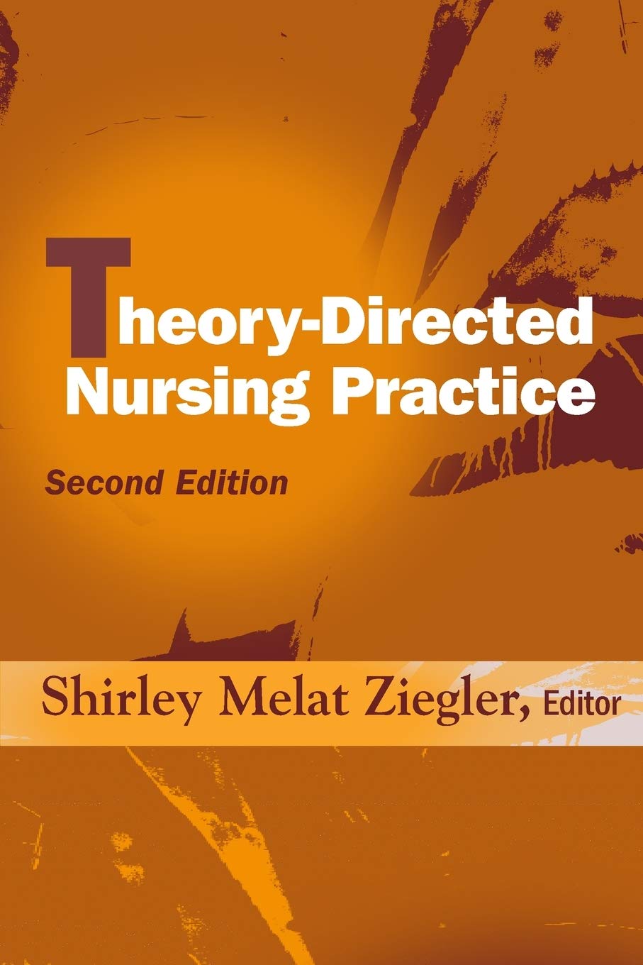 Theory-Directed Nursing Practice: Second Edition