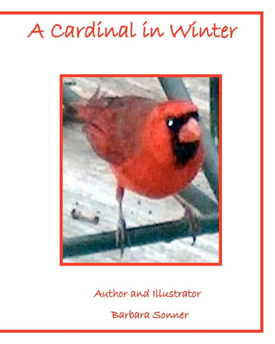 A Cardinal in Winter
