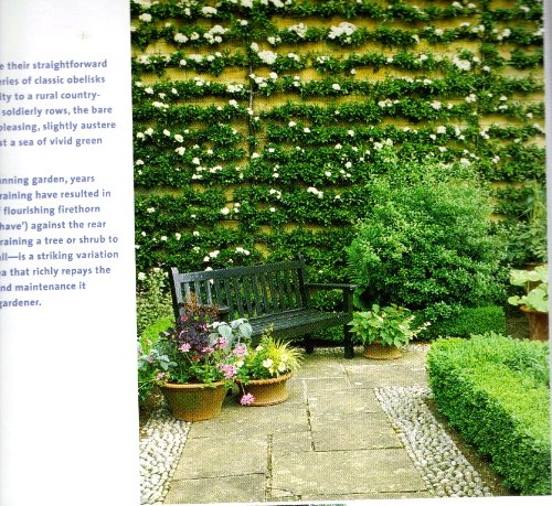 Trellises & Arbors: Over 35 Step-by-step Projects You Can Build