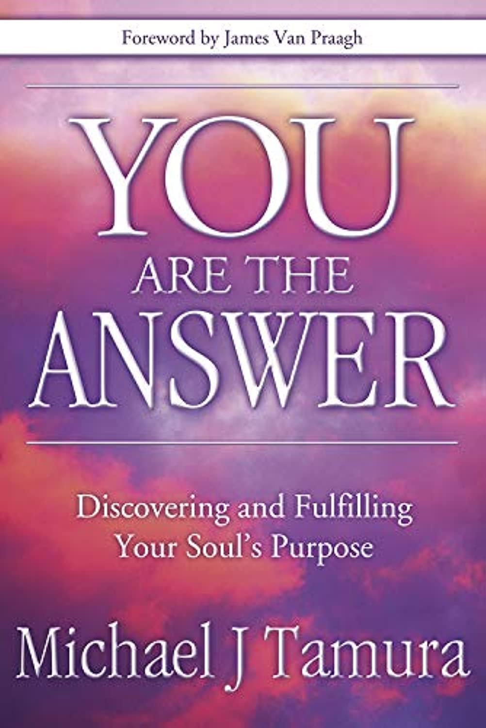You Are the Answer: Discovering and Fulfilling Your Soul's P