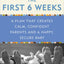 Cherish the First Six Weeks: A Plan that Creates Calm, Confident Parents and a Happy, Secure Baby