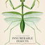 Innumerable Insects: The Story of the Most Diverse and Myriad Animals on Earth (Natural Histories)