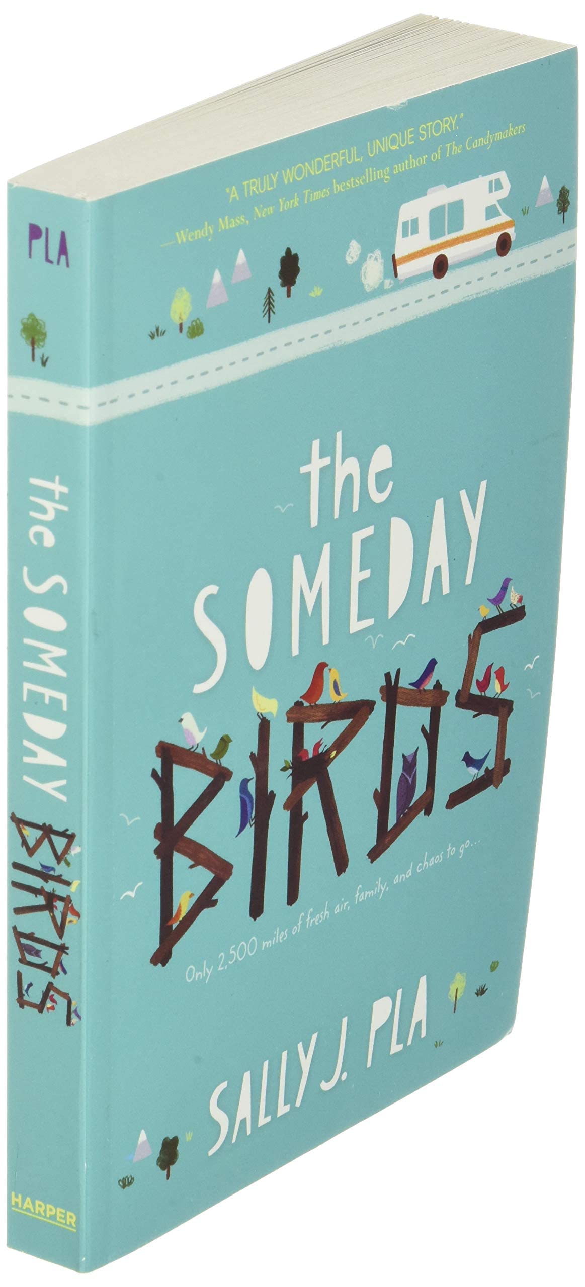 The Someday Birds