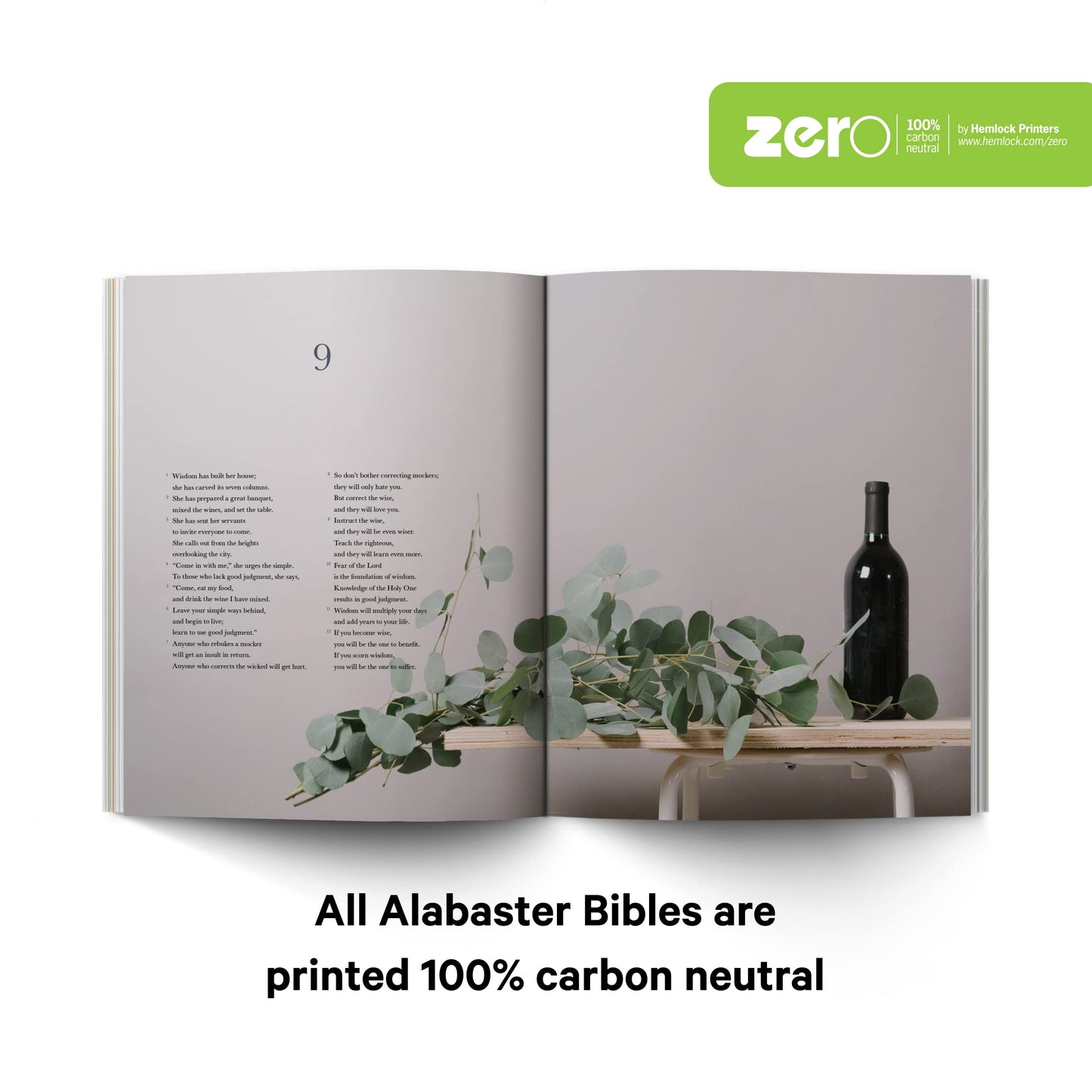 Book of Proverbs - Alabaster Bible (Alabaster Co.)