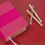 NIV Study Bible, Fully Revised Edition (Study Deeply. Believ
