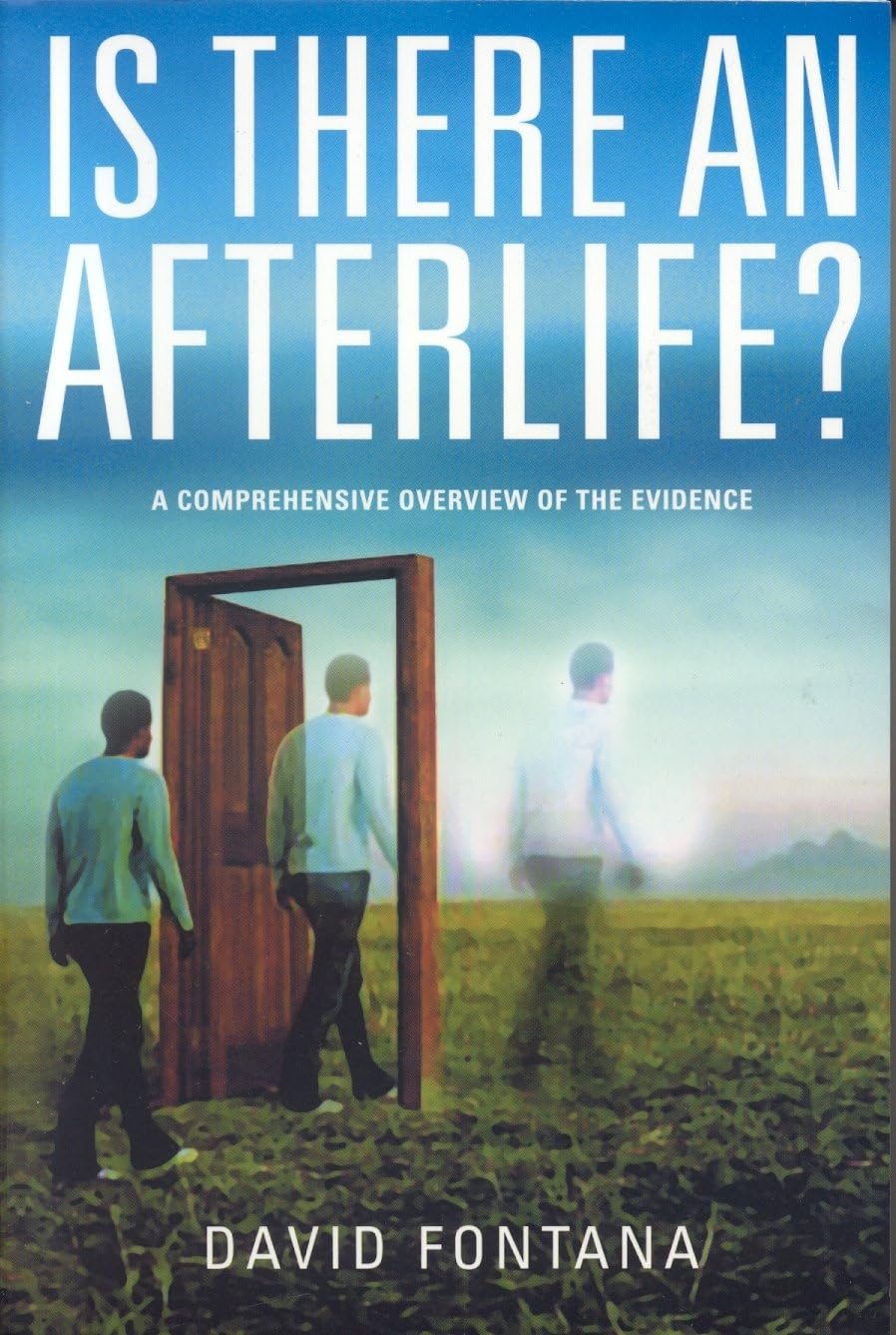 Is There An Afterlife?: A Comprehensive Overview of the Evidence