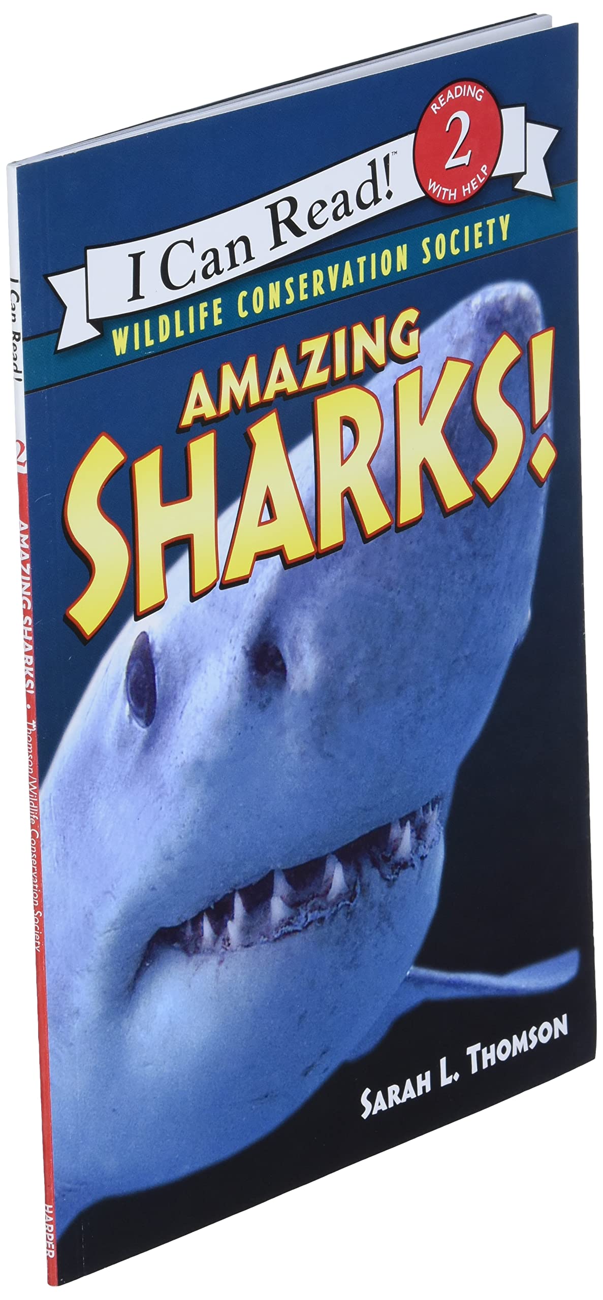 Amazing Sharks!: A Level 2 Science Reader About Ocean Wildlife for Kids (Ages 4-8) (I Can Read Level 2)