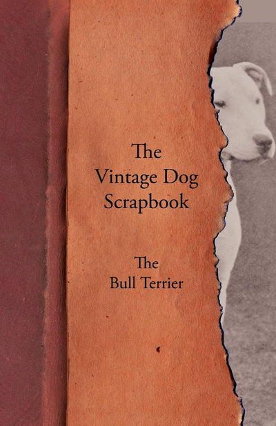 The Vintage Dog Scrapbook - The Bull Terrier