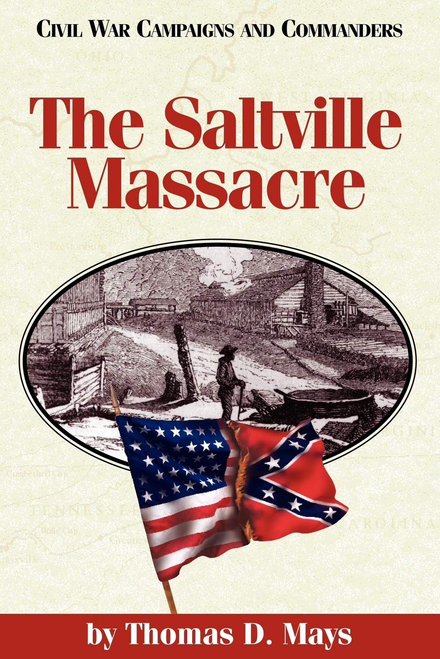 The Saltville Massacre (Civil War Campaigns and Commanders Series)