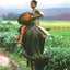 Vietnam: Anatomy of a Peace