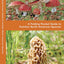 Mushrooms: A Folding Pocket Guide to Familiar North American