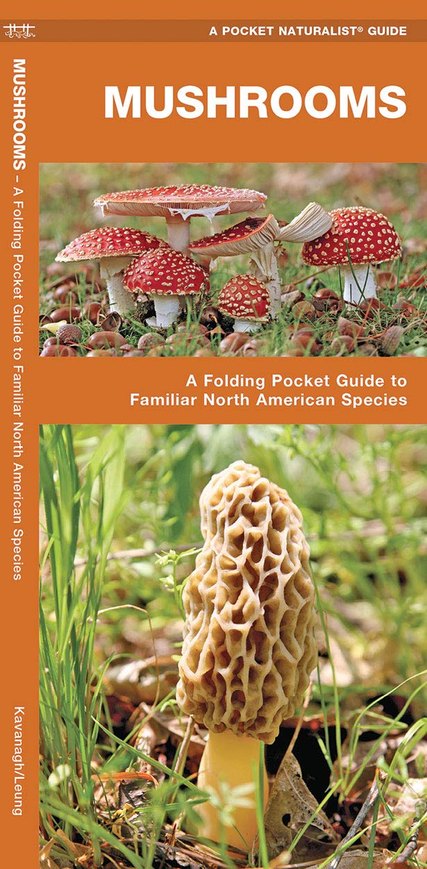 Mushrooms: A Folding Pocket Guide to Familiar North American Species (Nature Observation North America)