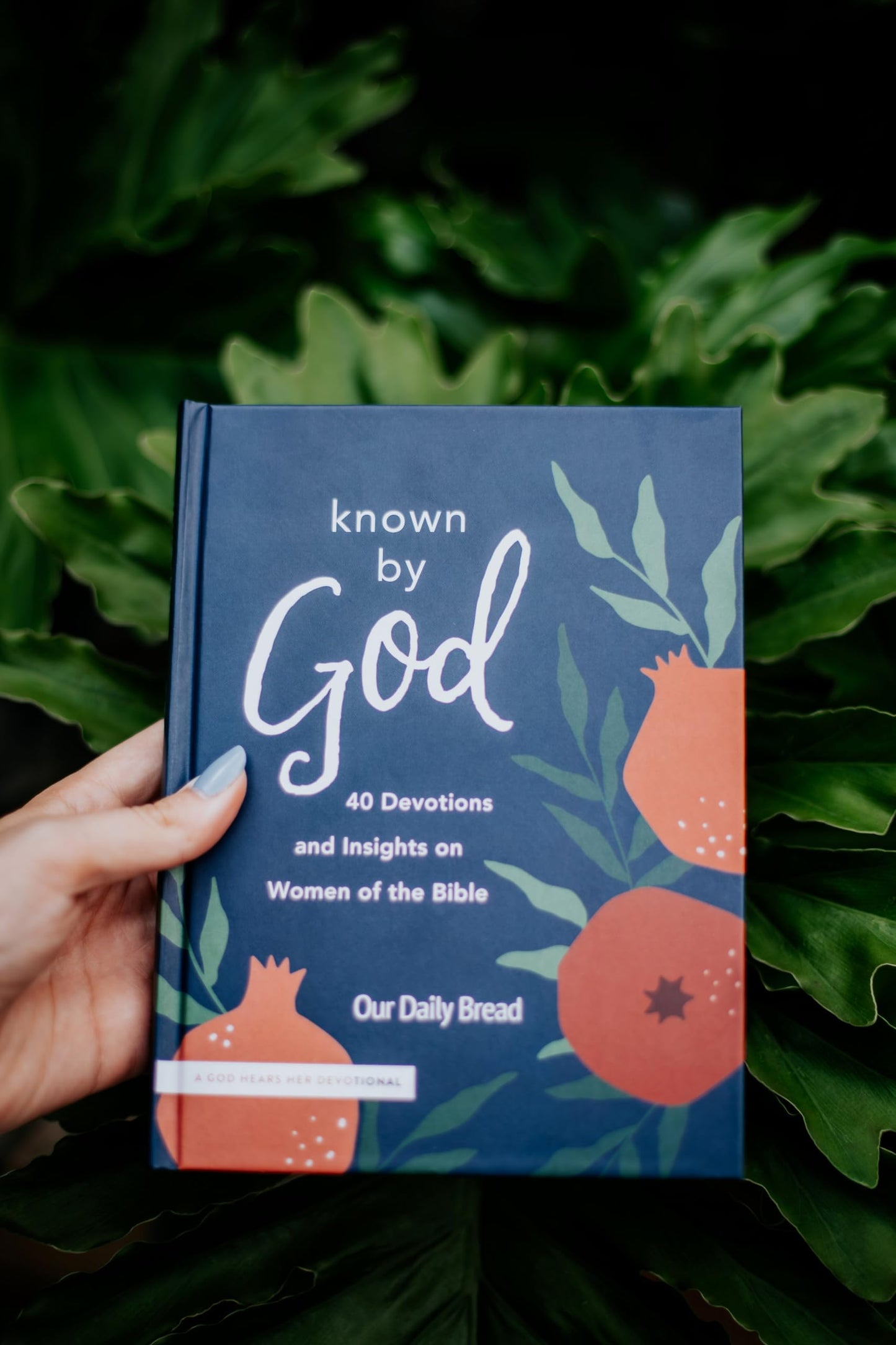 Known by God: 40 Devotions and Insights on Women of the Bible (A God Hears Her Devotional)