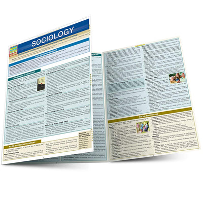 Sociology (Quick Study Academic)