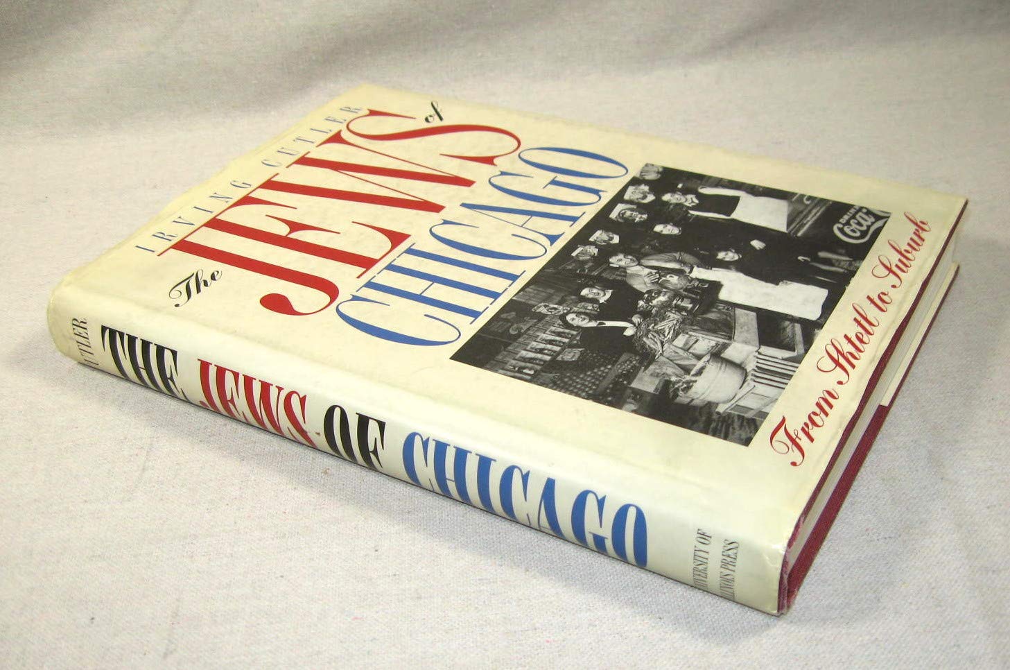 The Jews of Chicago: Fron Shtetl to Suburb (Ethnic History of Chicago)