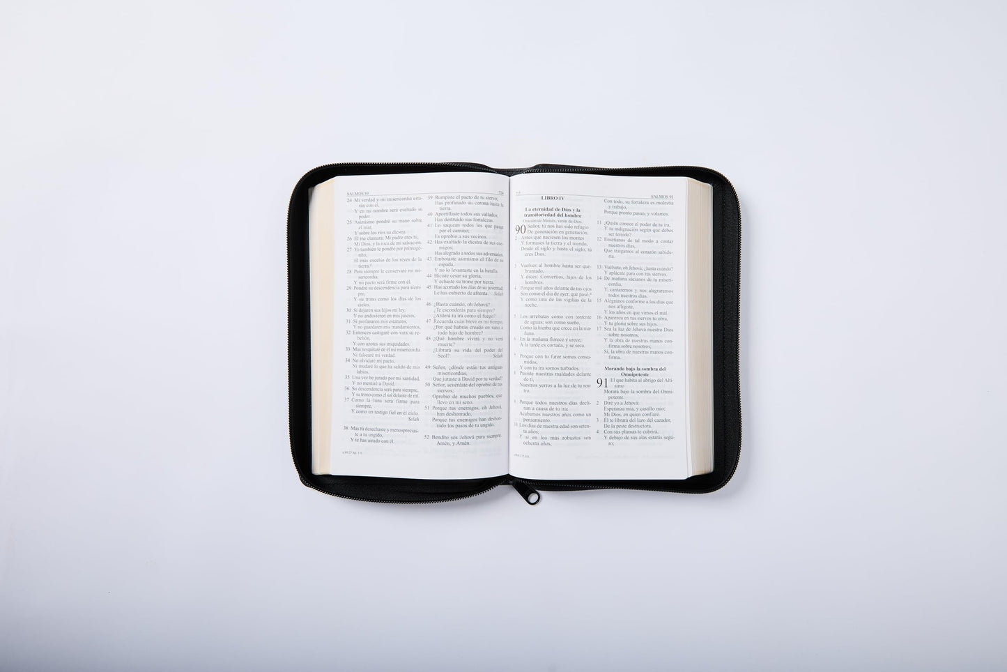 RVR60, Santa Biblia, Letra grande, Edicin porttil, Leathersoft, Negro, Palabras de Jess en Rojo, con cierre (Spanish Edition)