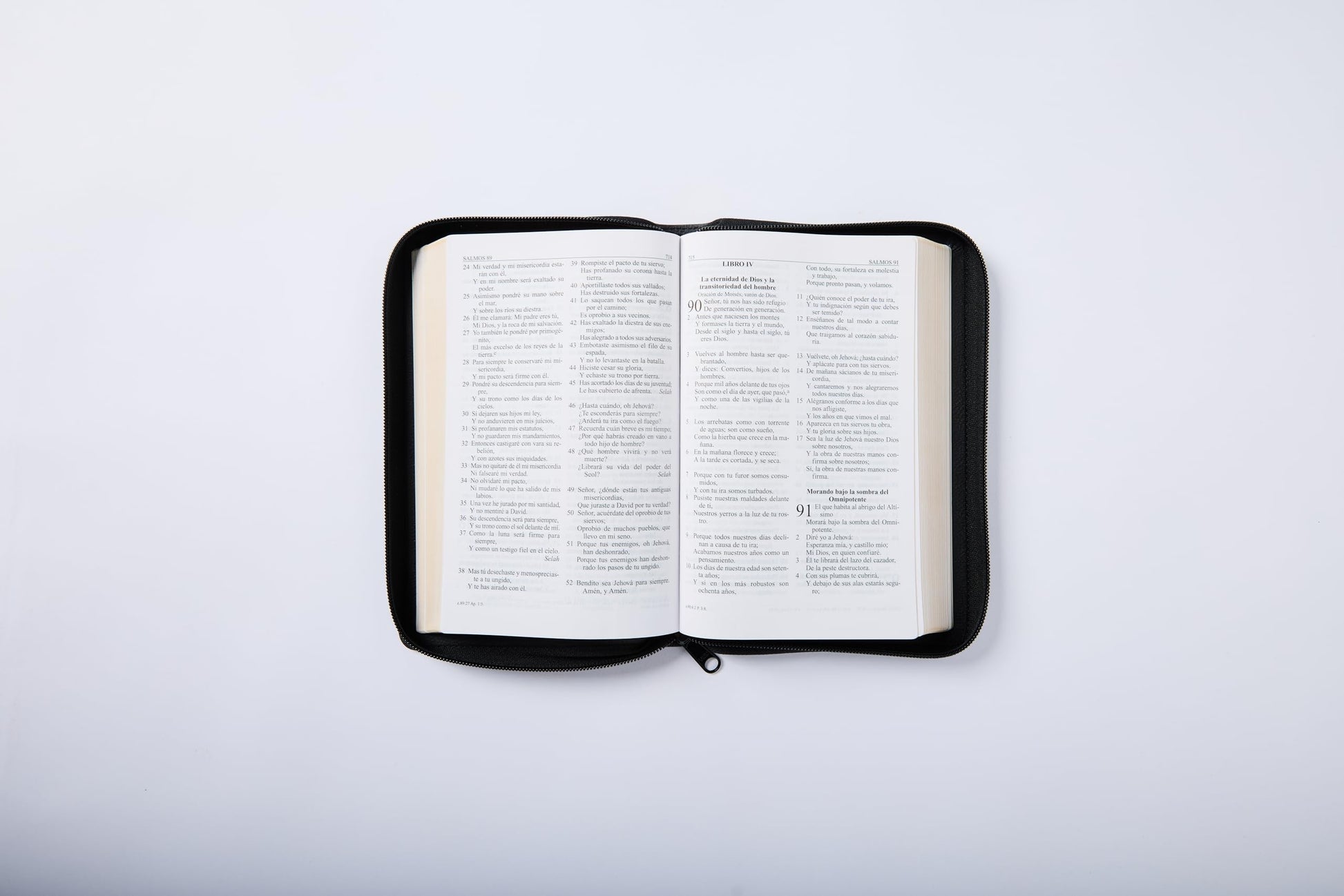 RVR60, Santa Biblia, Letra grande, Edicin porttil, Leathersoft, Negro, Palabras de Jess en Rojo, con cierre (Spanish Edition)