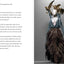 Alexander McQueen: Savage Beauty by Bolton, Andrew