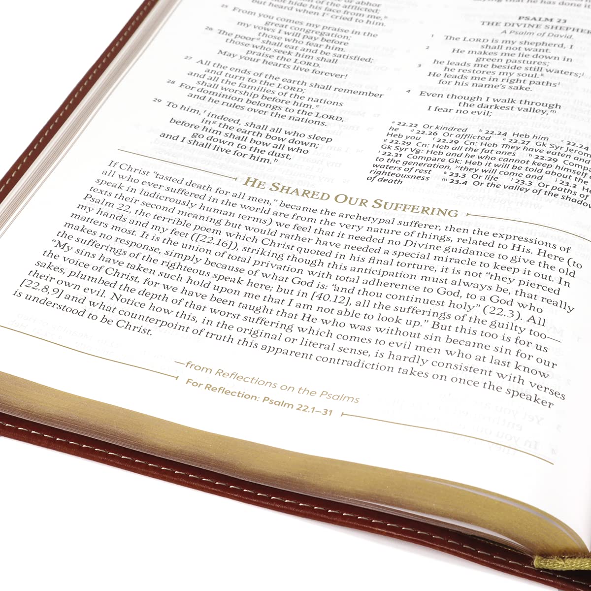 NRSV, The C. S. Lewis Bible, Leathersoft, Brown, Comfort Print