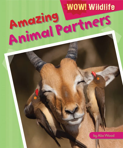 Amazing Animal Partners (Wow! Wildlife)