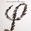 Breve historia de la literatura espaola (Spanish Edition)