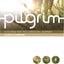 Pilgrim - Church and Kingdom: A Course for the Christian Jou