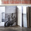 Too Far Gone by Blubaugh, Todd