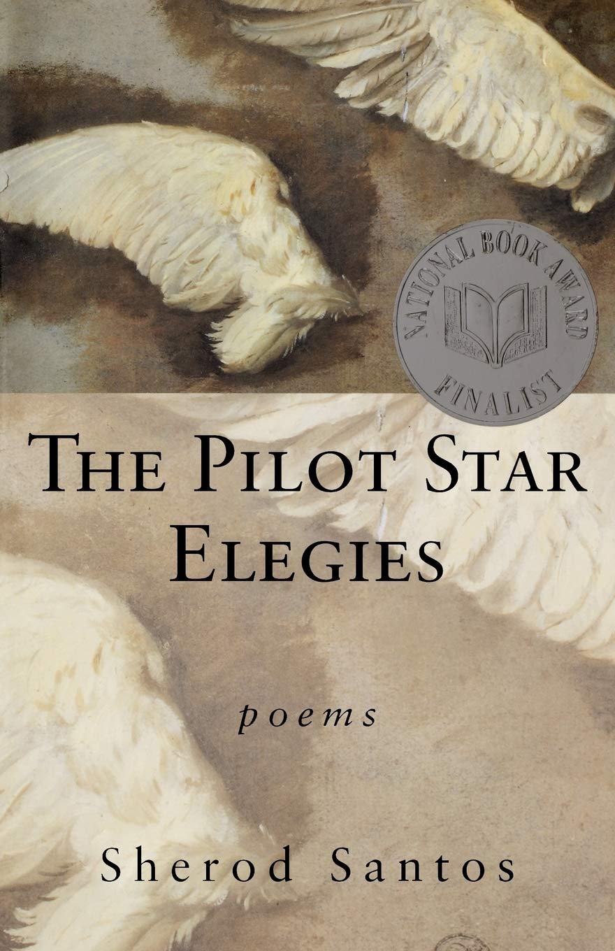 The Pilot Star Elegies: Poems