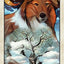 Wise Dog Tarot