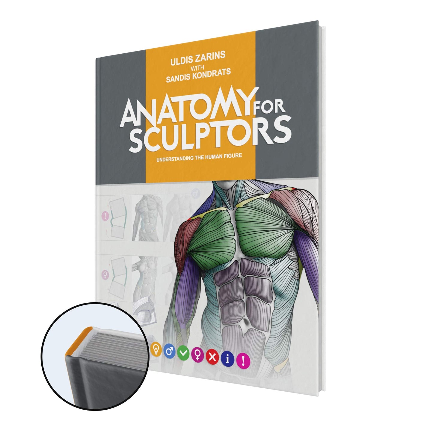 Anatomy For Sculptors, Understanding the Human Figure by Uld