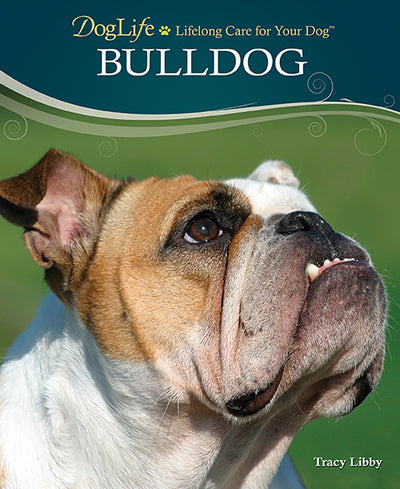 Bulldog (Doglife)