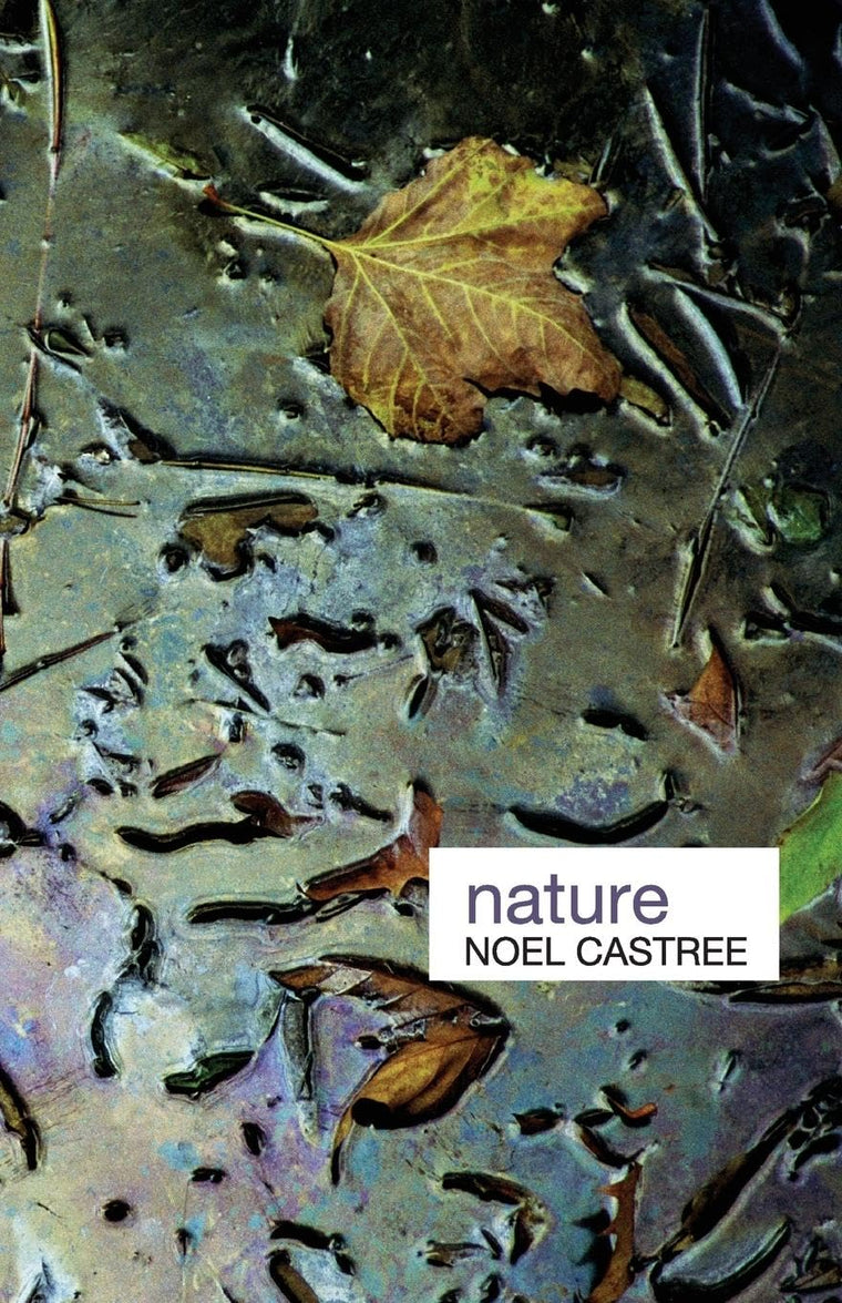 Nature (Key Ideas in Geography)