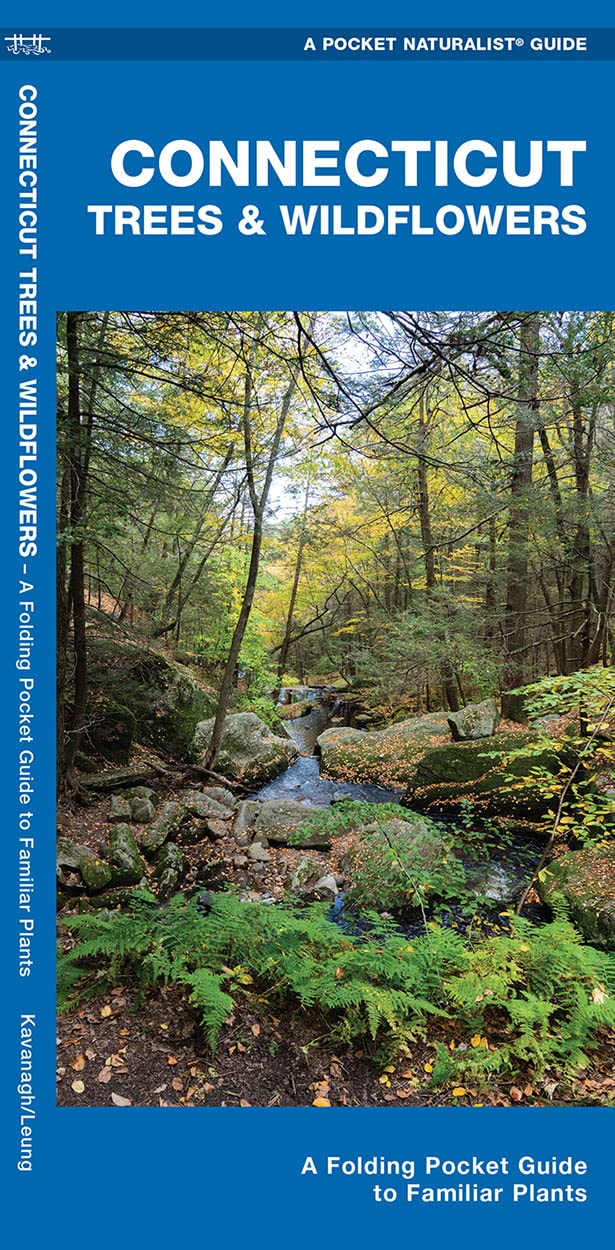 Connecticut Trees & Wildflowers: A Folding Pocket Guide to Familiar Plants (Wildlife and Nature Identification)