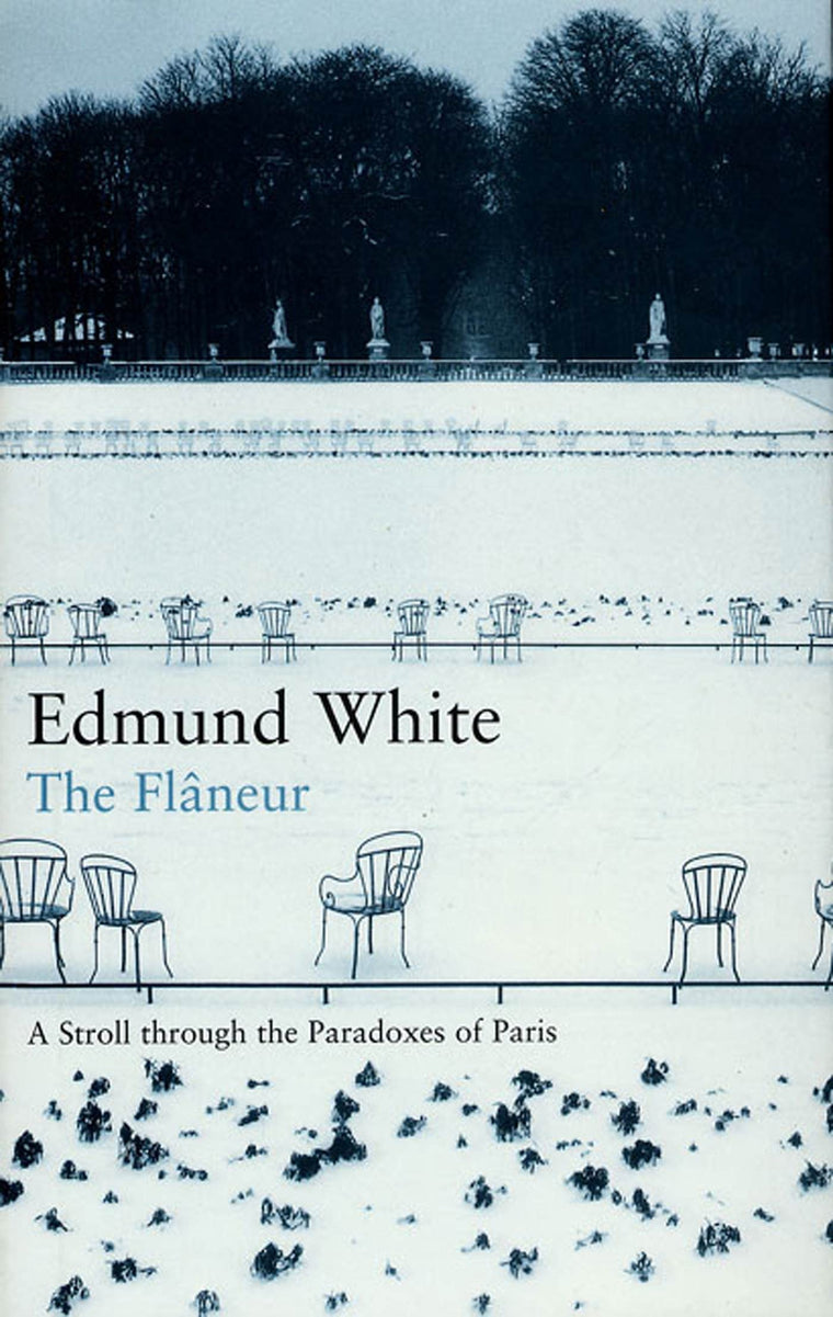 The Flaneur: A Stroll Through the Paradoxes of Paris