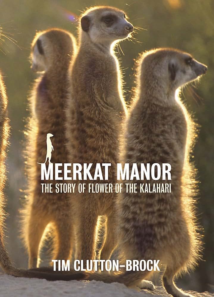 Meerkat Manor