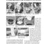 Herbal Medicine From The Heart Of The Earth