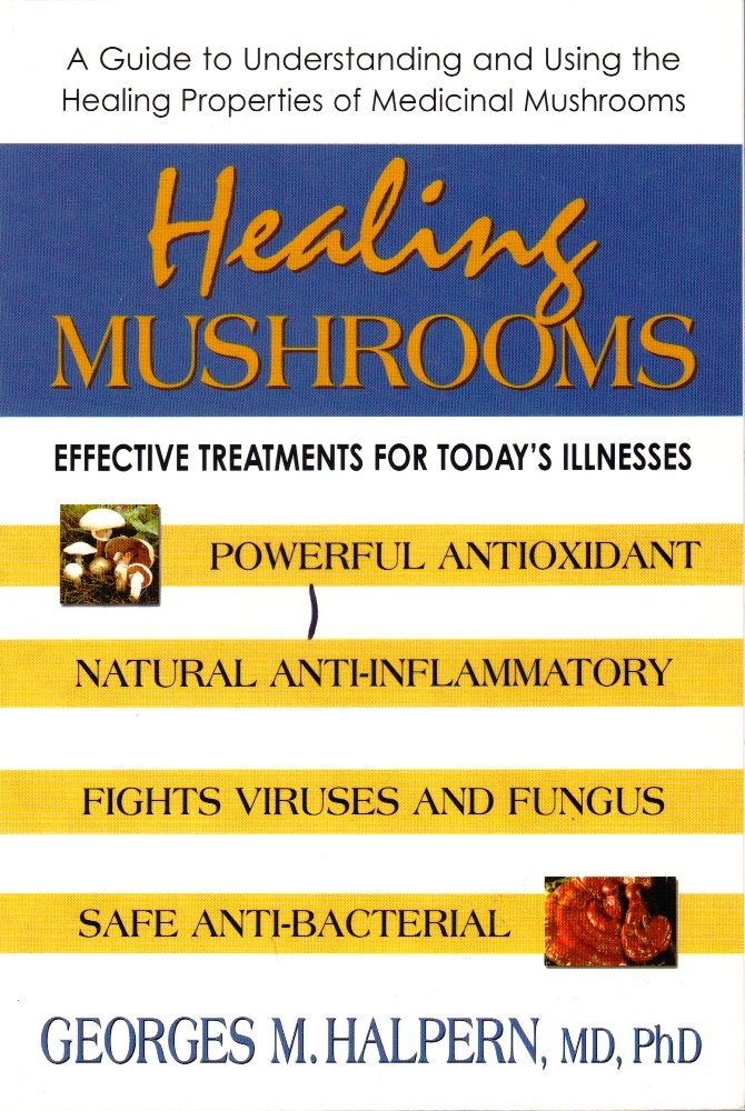 Healing Mushrooms: Effective Treatments for Today's Illnesses