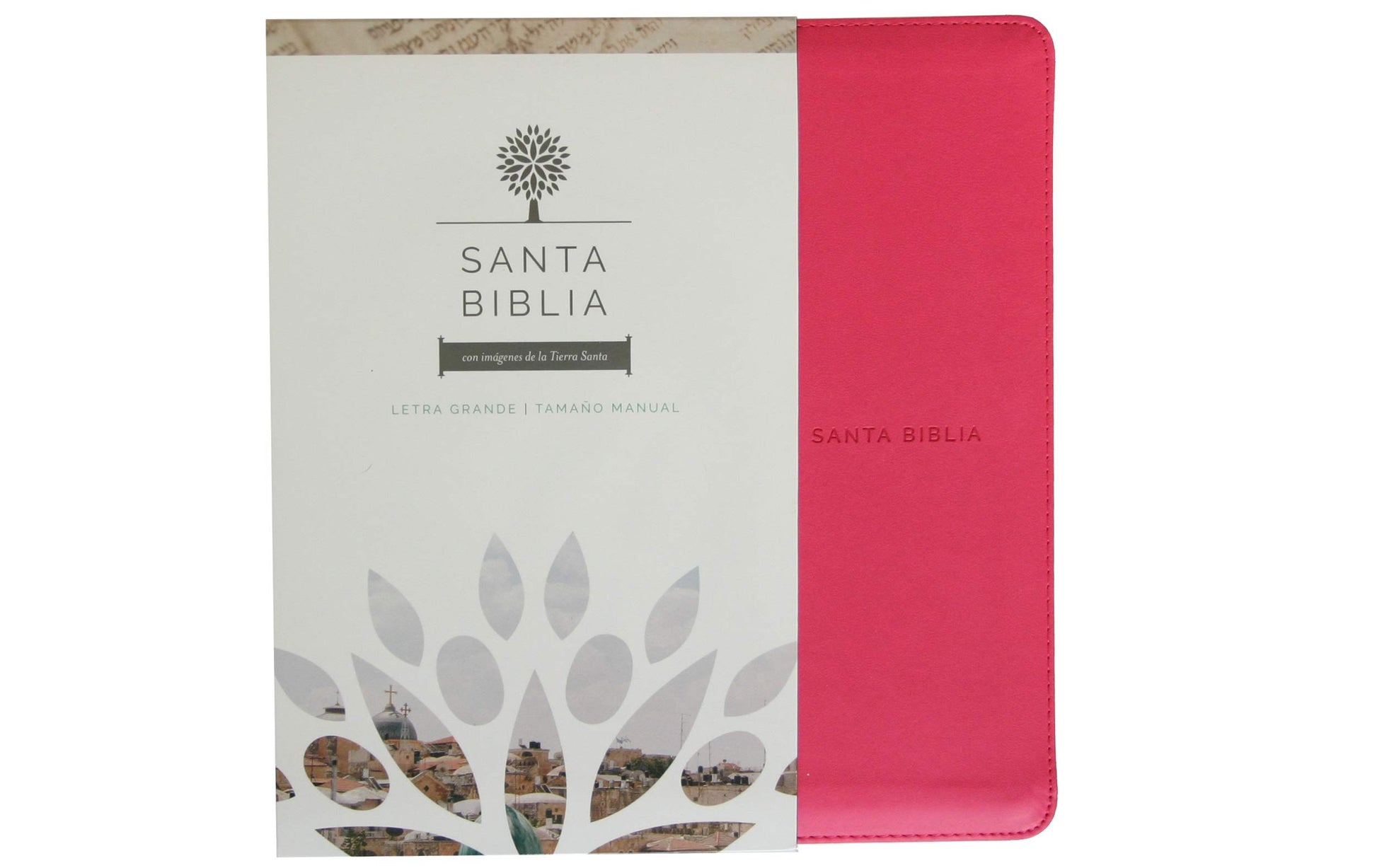 Biblia Reina Valera 1960 letra grande. Smil piel fucsia, cremallera, tamao manual / Spanish Holy Bible RVR 1960. Handy Size, Large Print, Leathersoft, Zipp (Spanish Edition)